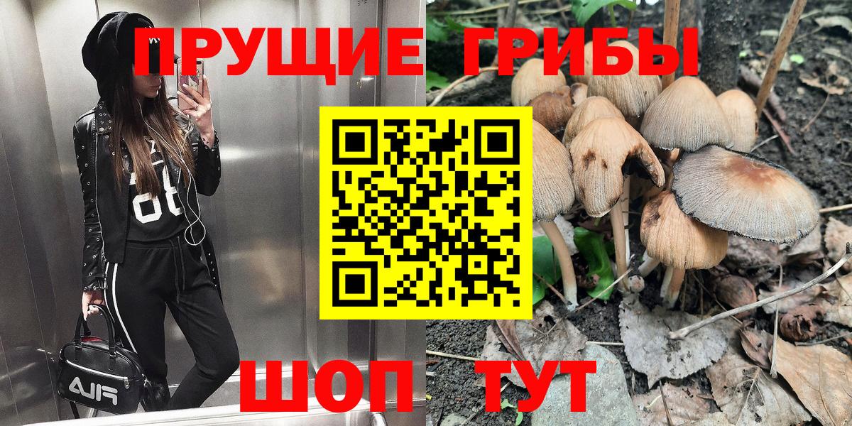 Псилоцибиновые грибы Psilocybine cubensis Азов