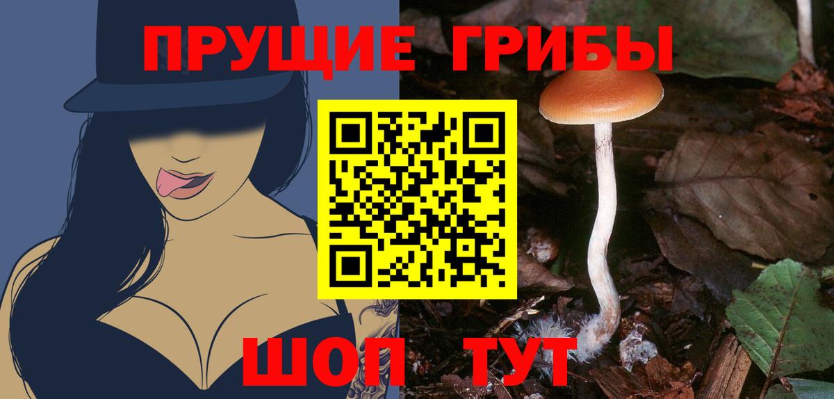 Азов  Псилоцибиновые грибы Psilocybe  Псилоцибиновые грибы мицелий  Вход с VPN 
